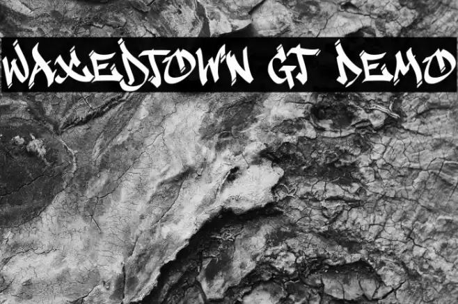 Waxedtown GT Demo Font examples