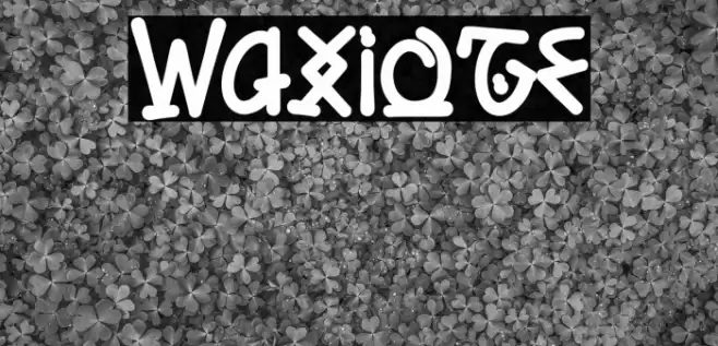 Waxioze फ़ॉन्ट examples