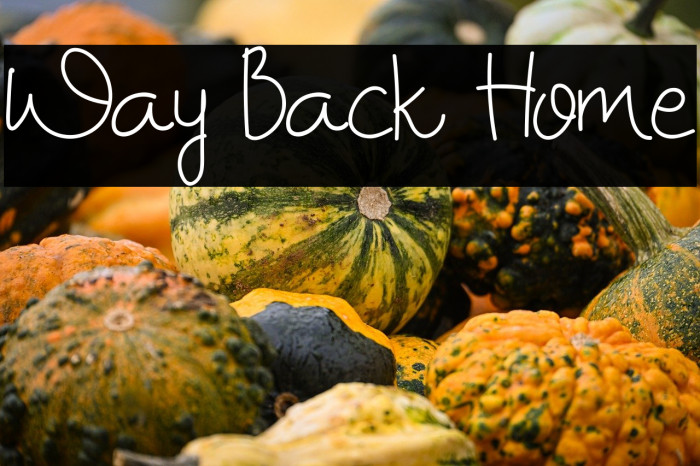 Way Back Home Example 1