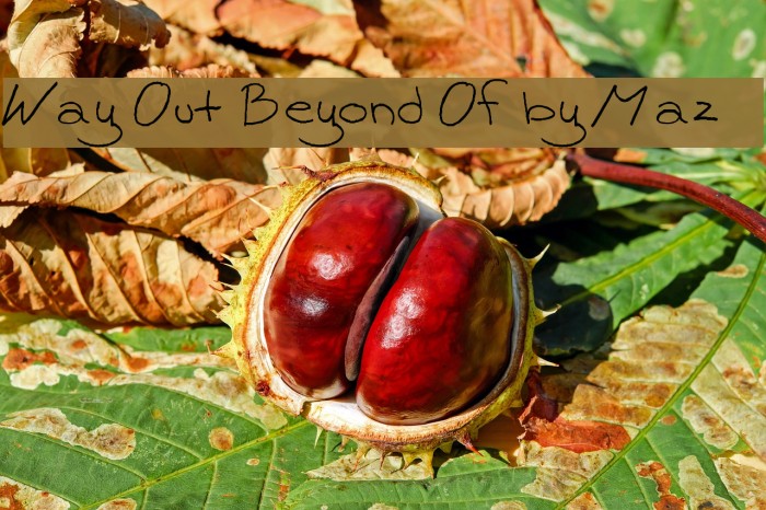 Way Out Beyond Of by Maz Font examples