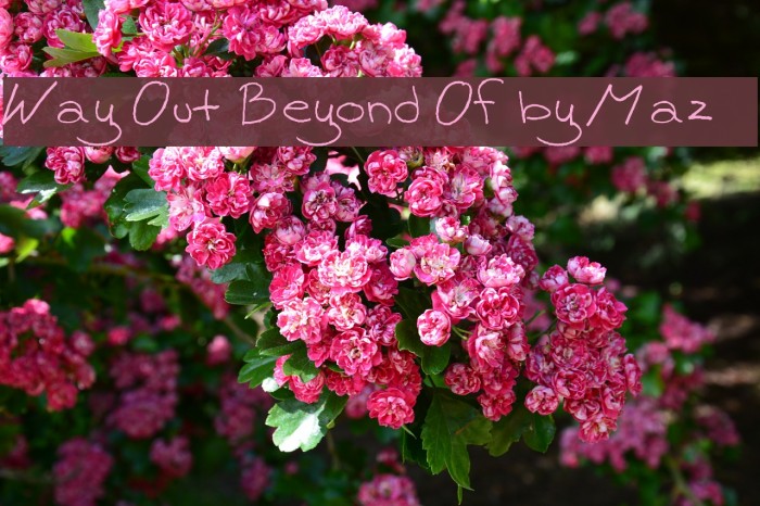 Way Out Beyond Of by Maz Font examples