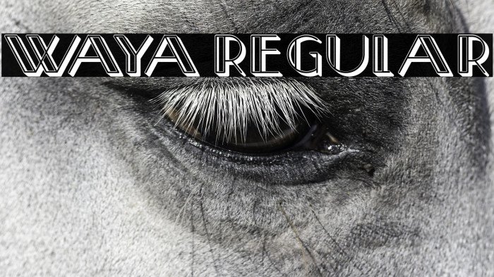 Waya Regular Example 1