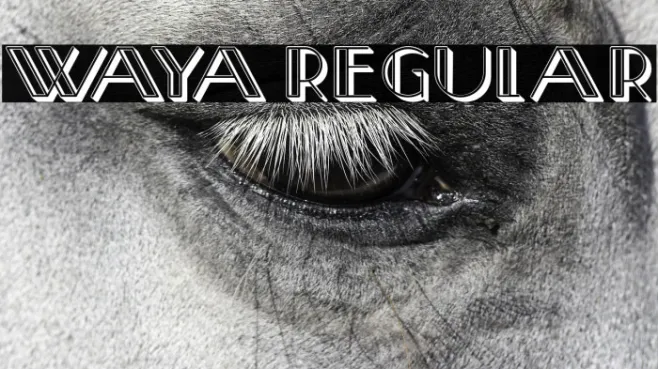 Waya Regular Example 1