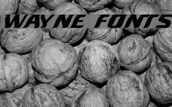 Wayne Fonts Font examples
