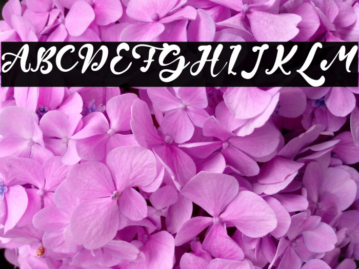 Wayne Grout Example 1