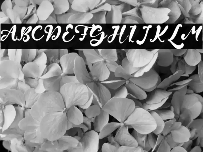 Wayne Grout Font examples