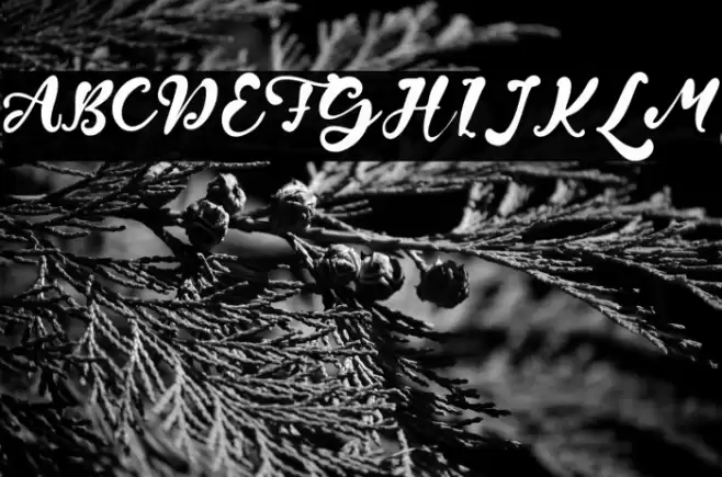 Wayne Grout Font examples