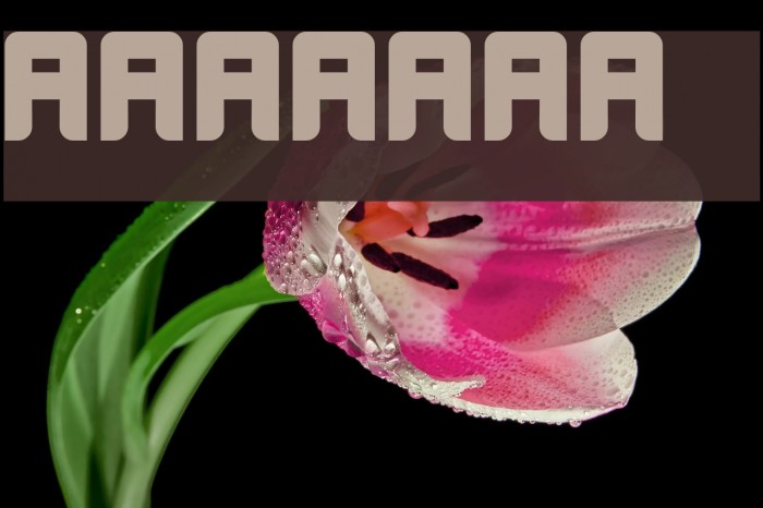 Wayner 8088 Font examples