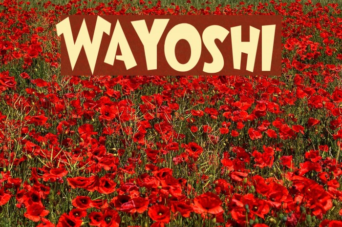 Wayoshi Font examples