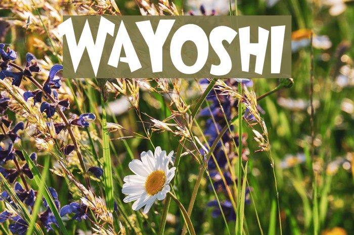 Wayoshi Font examples