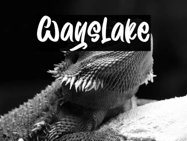 Wayslake Font examples
