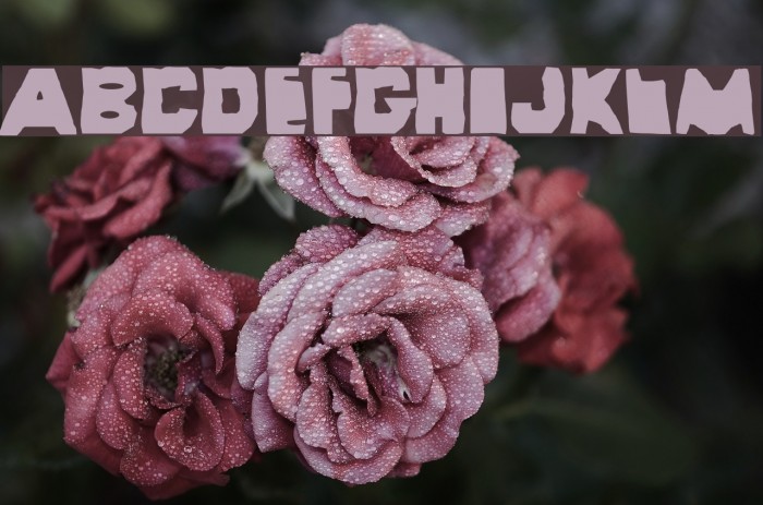 Wayzgoose Old Time Font examples