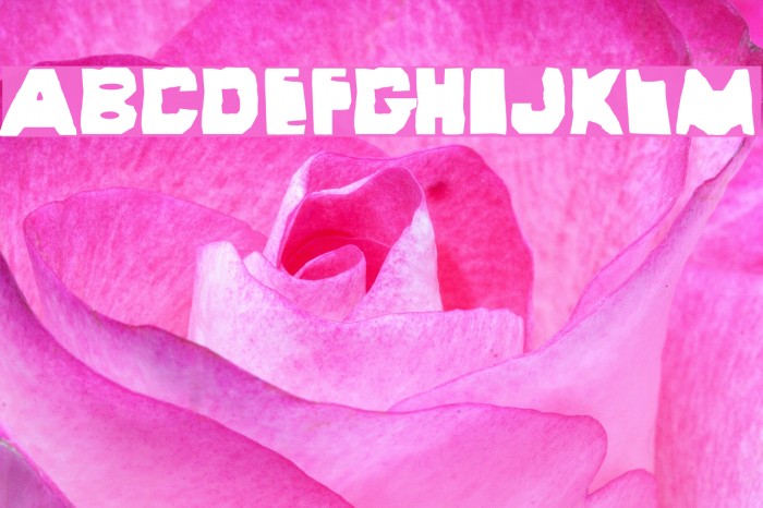 Wayzgoose Old Time Font examples
