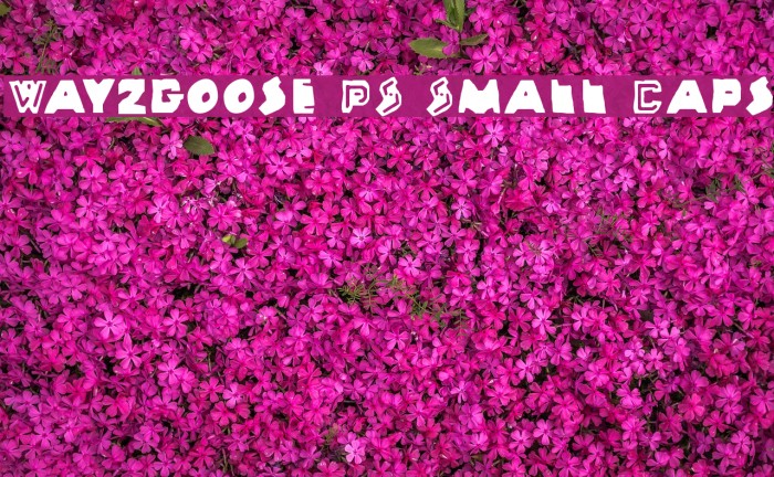Wayzgoose PS Small Caps Example 1
