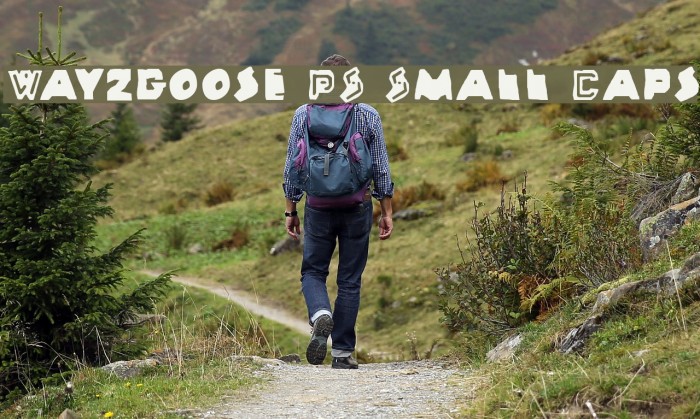 Wayzgoose PS Small Caps Example 2