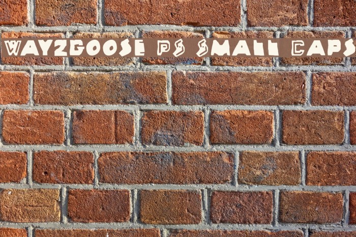 Wayzgoose PS Small Caps Example 3