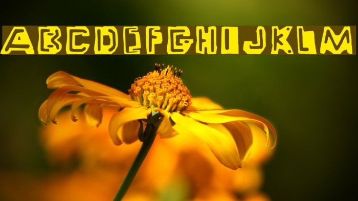 Wayzgoose Punch & Strut Font examples