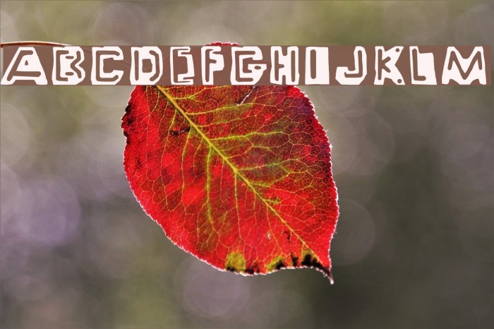 Wayzgoose Punch & Strut Font examples