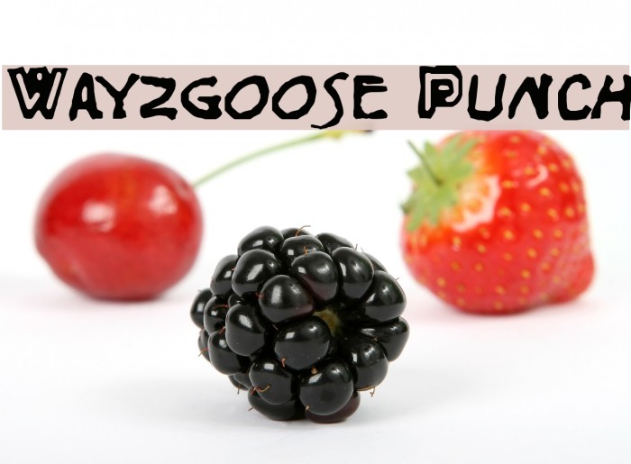 Wayzgoose Punch Font examples
