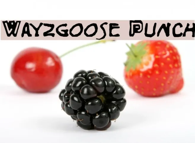 Wayzgoose Punch Example 1