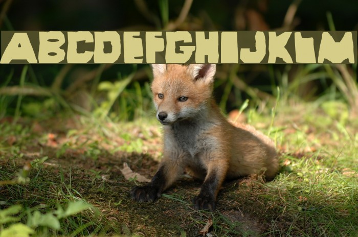Wayzgoose Strut Font examples