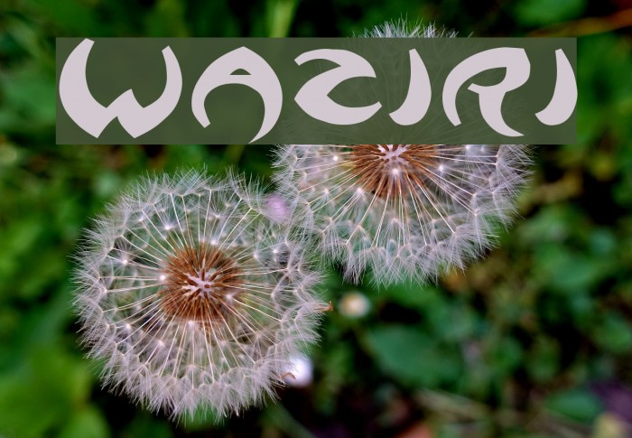 Waziri Font examples