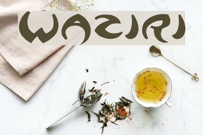 Waziri Font examples