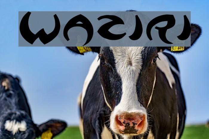 Waziri Font examples