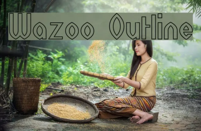Wazoo Outline Example 2