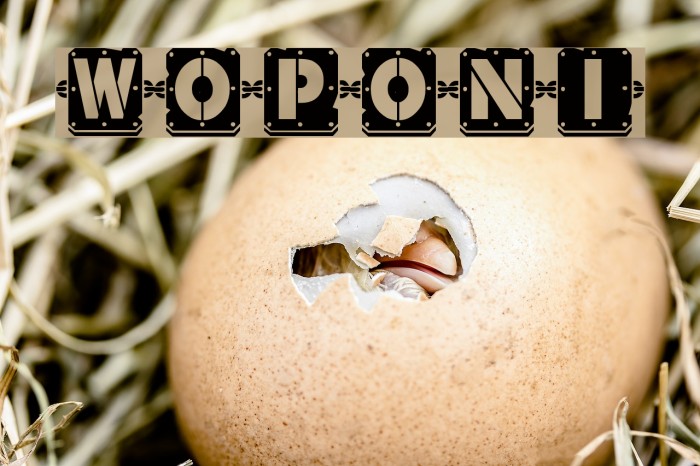 Woponi Font examples