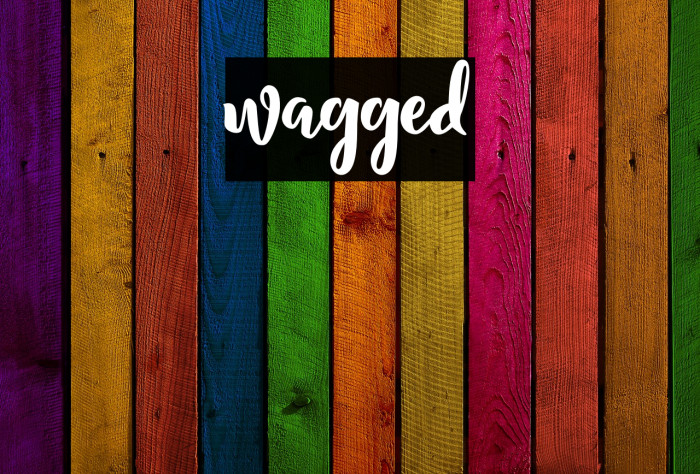 wagged Font examples