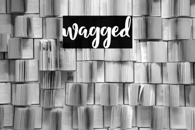 wagged Font examples