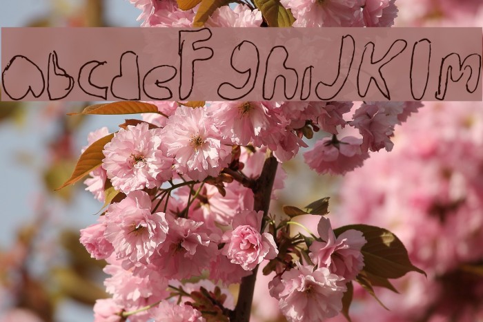 walk the walk Font examples