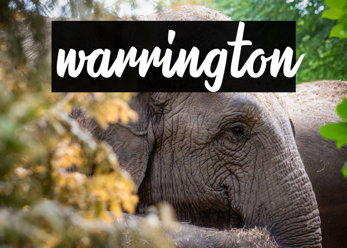 warrington Example 1