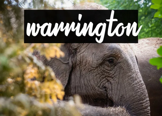 warrington Example 1