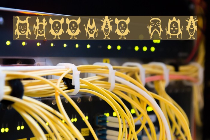 warrior dco Example 1