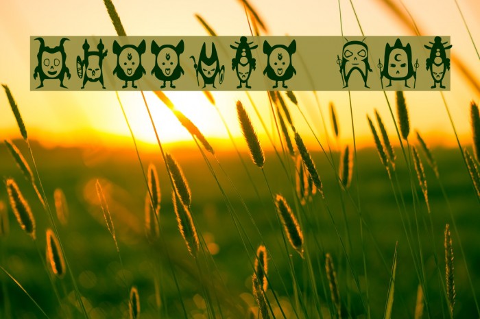 warrior dco Example 3