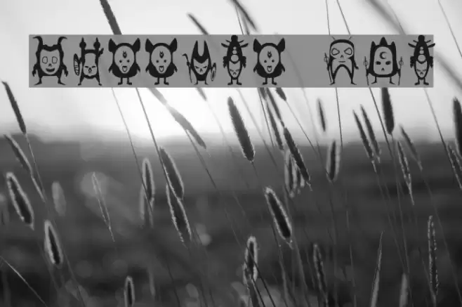 warrior dco Font examples