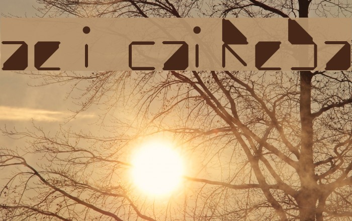 water in my casio Regular Font examples