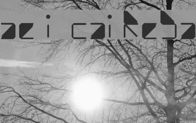 water in my casio Regular फ़ॉन्ट examples