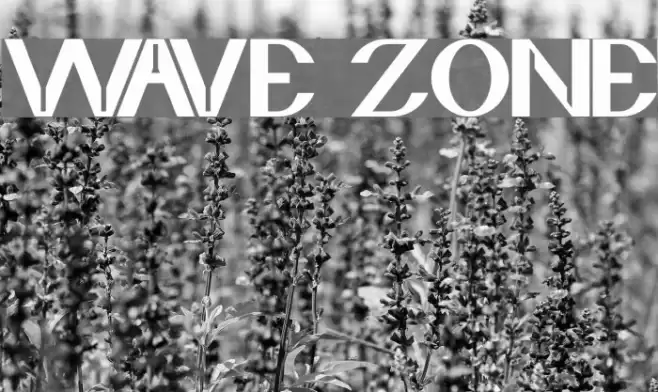 wave zone Font examples