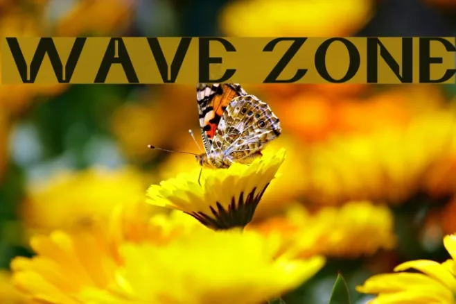 wave zone Example 2