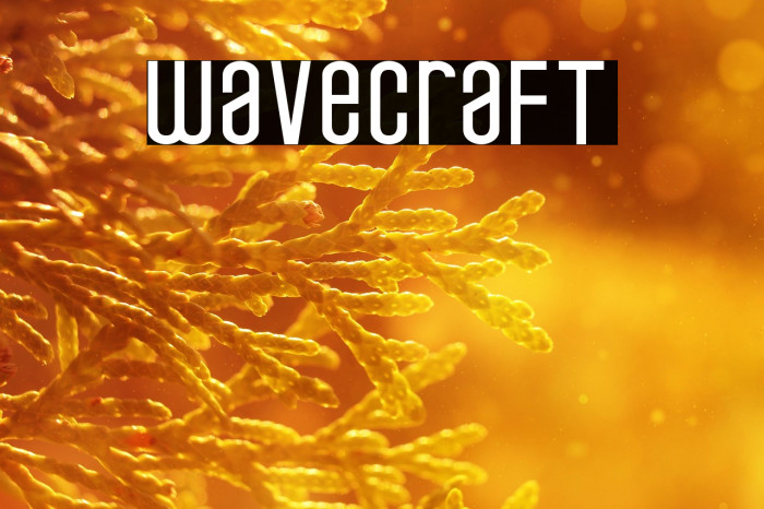 wavecraft Example 1