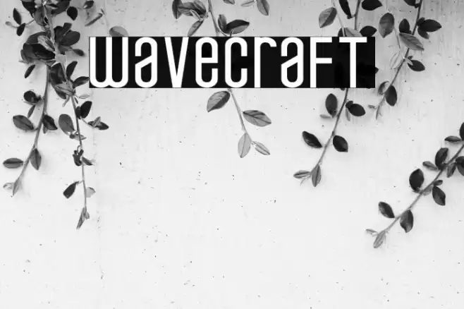 wavecraft Font examples