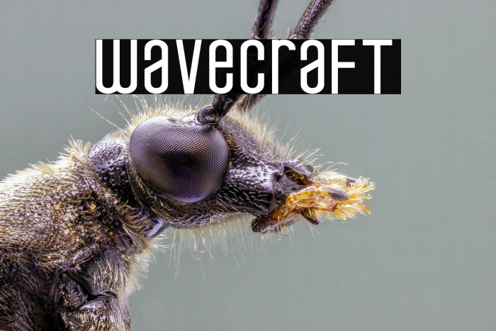 wavecraft Example 3
