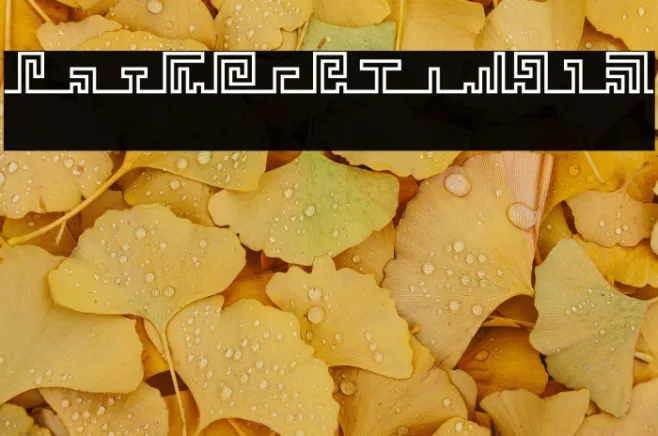 wavefont Example 2