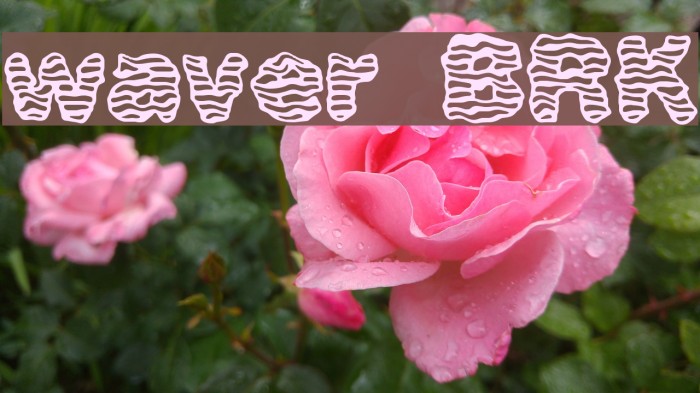 waver [BRK] Example 3