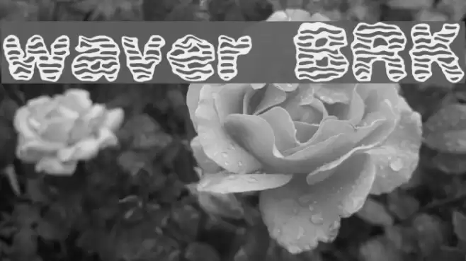 waver [BRK] Font examples