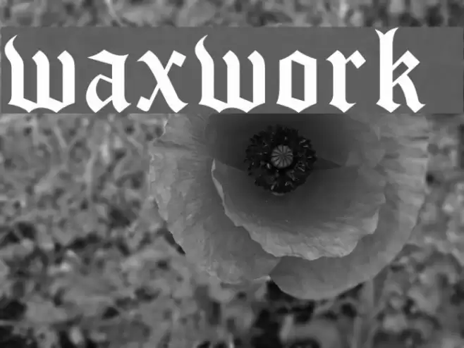 waxwork DEMO Font examples