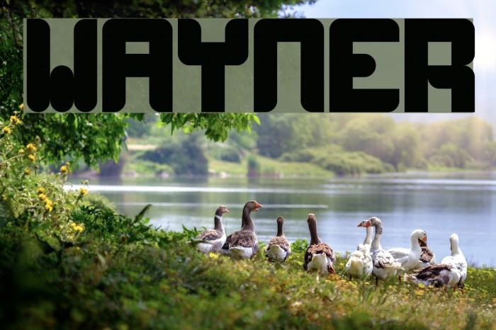 wayner Font examples